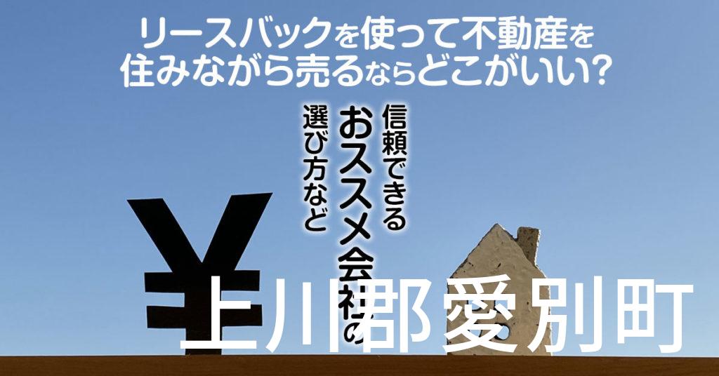 上川郡愛別町でリースバックを使って不動産を売るならどこがいい？信頼できるおススメ会社の選び方など