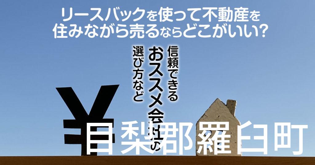 目梨郡羅臼町でリースバックを使って不動産を売るならどこがいい？信頼できるおススメ会社の選び方など