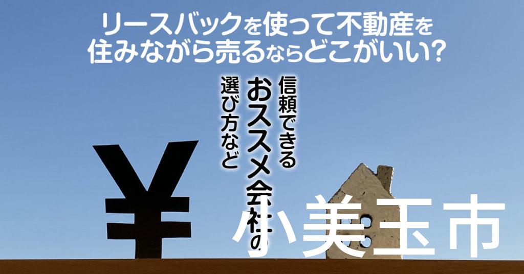 小美玉市でリースバックを使って不動産を売るならどこがいい？信頼できるおススメ会社の選び方など