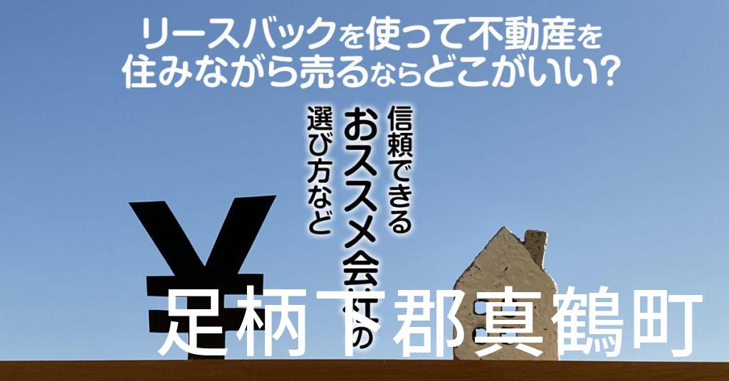 足柄下郡真鶴町でリースバックを使って不動産を売るならどこがいい？信頼できるおススメ会社の選び方など